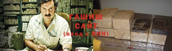 гидра Богородицк