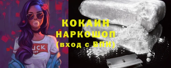 спиды Богданович