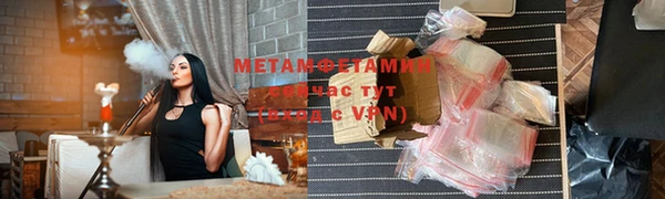 гидра Богородицк