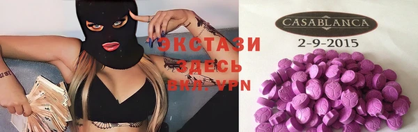 гидра Богородицк