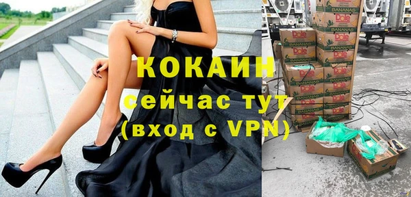 гидра Богородицк
