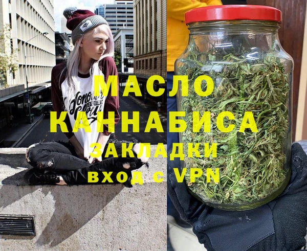 гидра Богородицк