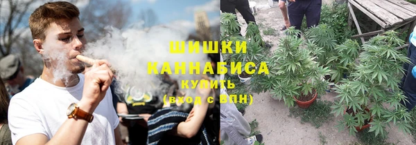 спиды Богданович