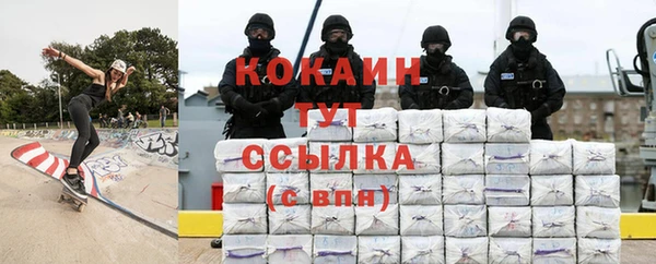 гидра Богородицк