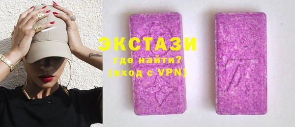 гидра Богородицк