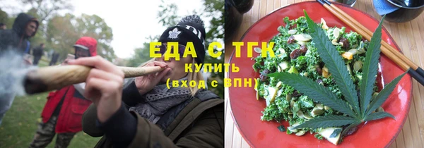 гидра Богородицк