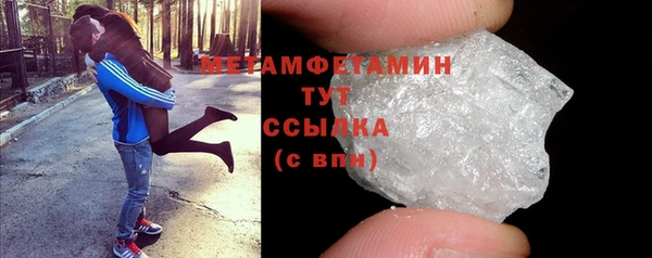 гидра Богородицк
