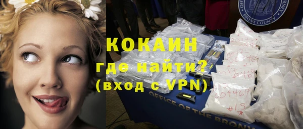 спиды Богданович