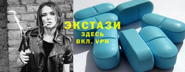 гидра Богородицк