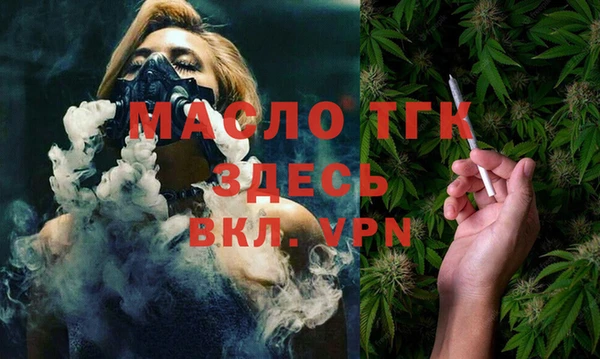 гидра Богородицк