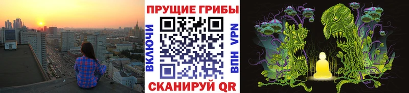 Купить  Горячий Ключ  Псилоцибиновые грибы Cubensis 